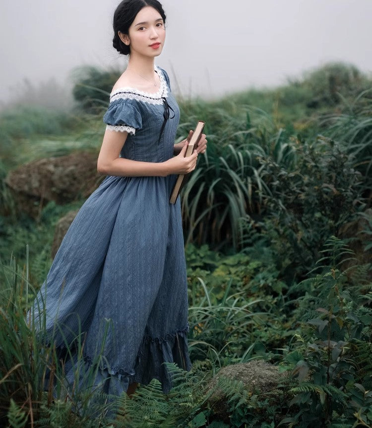 Period Drama Inspired Vintage Blue Prairie Dress