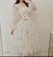 Load image into Gallery viewer, Handmade Movie Inspired Vintage Dreamy Princess Embroidery Dress
